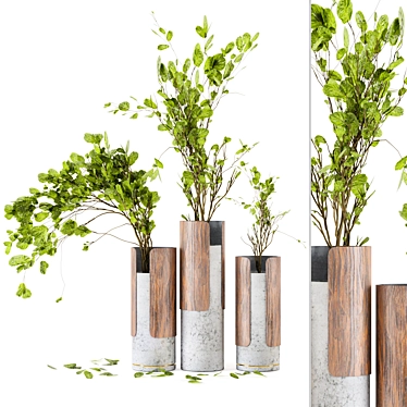 Wood & Concrete Vase Indoor Plants 3D model image 1 