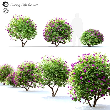 Vibrant Bougainvillea Flower 3D model image 1 