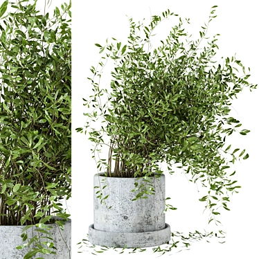 Rusty Concrete Pot Indoor Plant Set 3D model image 1 