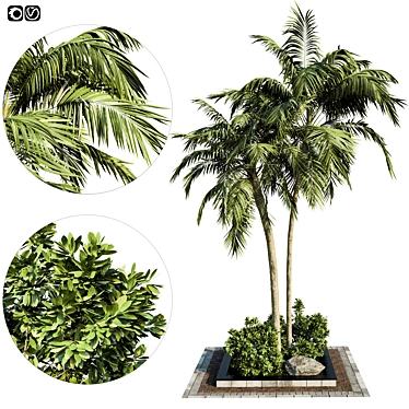 Exquisite Garden Palm Set 3D model image 1 