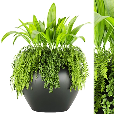 High-Quality Plant Collection (Vol 46) 3D model image 1 