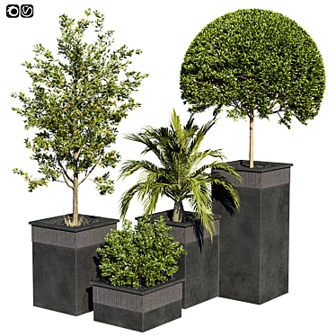 Tropical Garden Set: Palm Trees 3D model image 1 