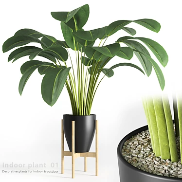 Leafy Oasis: Indoor Plant 01 3D model image 1 