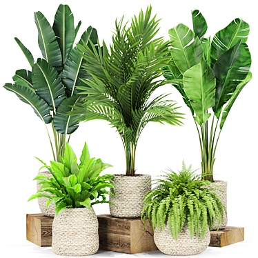 Lush Greenery: Plants Collection 438 3D model image 1 