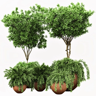 2020 Outdoor Plants Tree | Realistic Design 3D model image 1 
