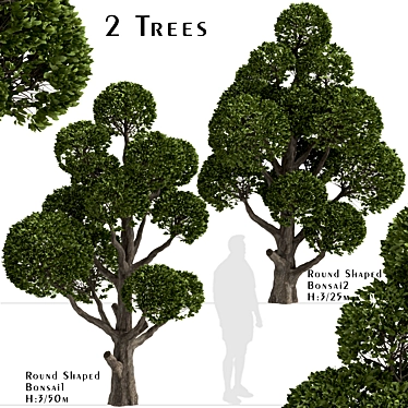 Round Shaped Bonsai Trees Duo (2 Trees) 3D model image 1 