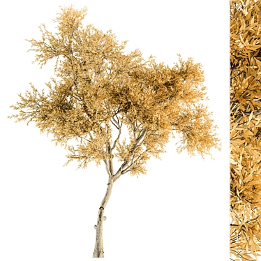 Autumn Leaves Tree Set 3D model image 1 