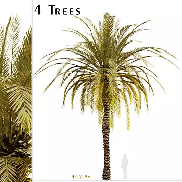 Exquisite Set of Date Palm Trees 3D model image 1 