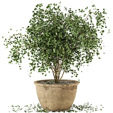 Rustic Concrete Pot Indoor Plants - Set of 20 3D model image 1 