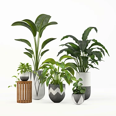 PBR-configured Indoor Plant Set 3D model image 1 