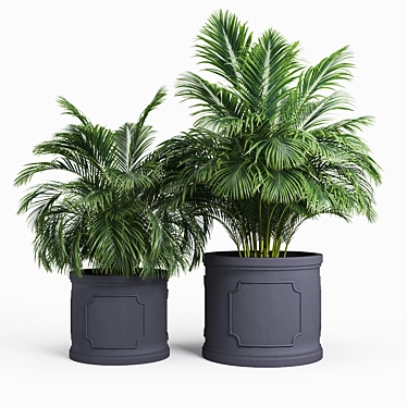 Birmingham Palm Planter: 3D Design 3D model image 1 