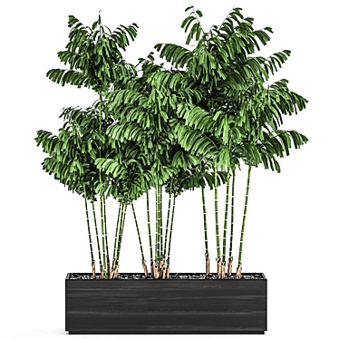 Tropical Plant Trio in Black Pots 3D model image 1 