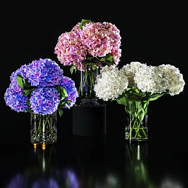 Hydrangea Blossom Set: Elegant Floral Decor 3D model image 1 