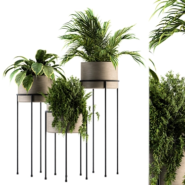 Modern Indoor Plant Stand Set - 129 Varieties 3D model image 1 
