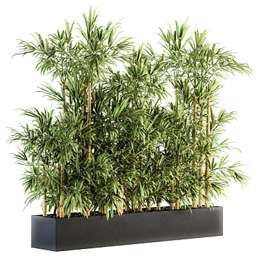 Green Oasis: Bamboo Bliss in Box 3D model image 1 