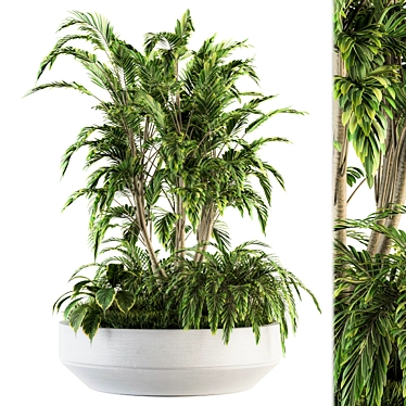 Concrete Pot Tree Set - Outdoor Plants 3D model image 1 