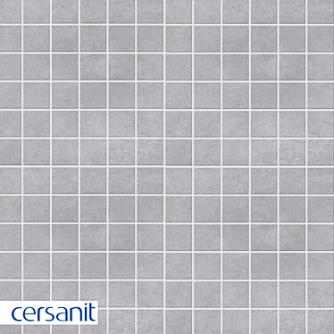 Gray Townhouse Mosaic Tile 30x30 - Cersanit 3D model image 1 