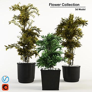Indoor Plant Collection: 3D & High Quality 3D model image 1 