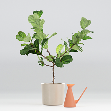 Realistic Fiddle-Leaf Fig 3D Model 3D model image 1 