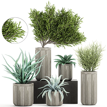 Tropical Oasis: Exotic Plants & Stylish Concrete Planters 3D model image 1 