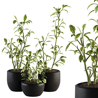 134-Piece Indoor Plant Set 3D model image 1 