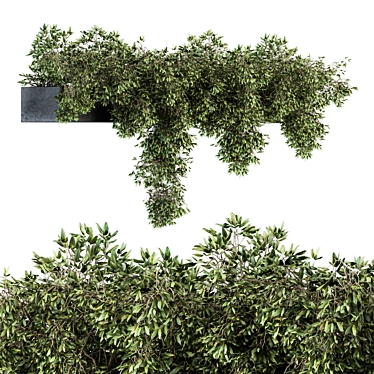 Ivy Plant Set: Outdoor Elegance 3D model image 1 