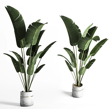 Greenery Delight: Indoor Plant 02 3D model image 1 