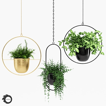 Indoor Hanging Plant Trio 3D model image 1 