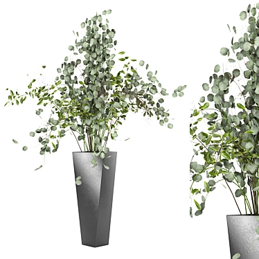  Elegant Eucalyptus Bouquet: Indoor Plant Set 3D model image 1 