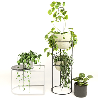 Indoor Oasis: Vase Pack 2 3D model image 1 