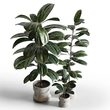 Elegant Indoor Plant Decor 3D model image 1 