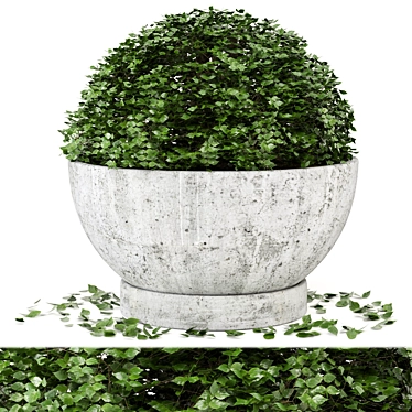 Rusty Concrete Pot Outdoor Plant Set 3D model image 1 