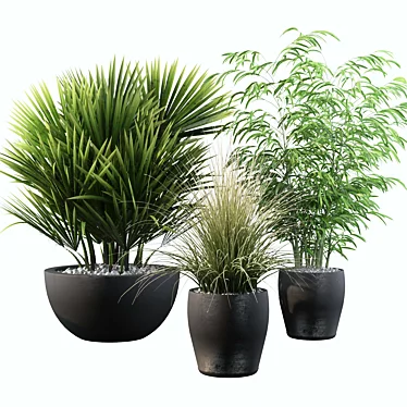 Luxury Plants Collection: 080 3D model image 1 