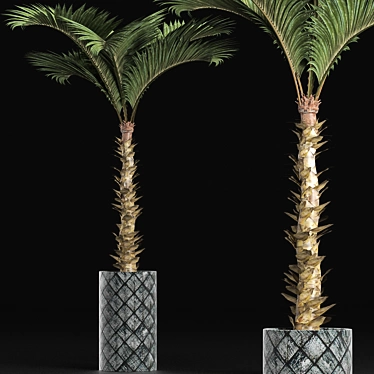 Lush Tropical Palm Collection 3D model image 1 