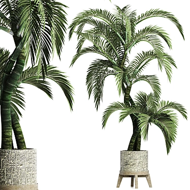 Egyptian Palm: Stunning Outdoor Large Houseplant 3D model image 1 