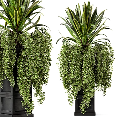 Rusty Black Concrete Indoor Plants 3D model image 1 