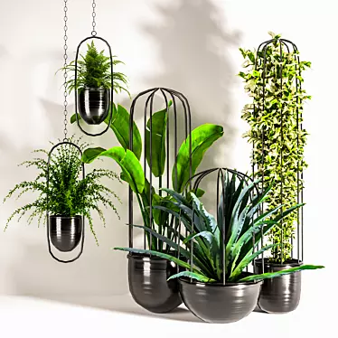 Green Oasis Indoor Plant Set 3D model image 1 