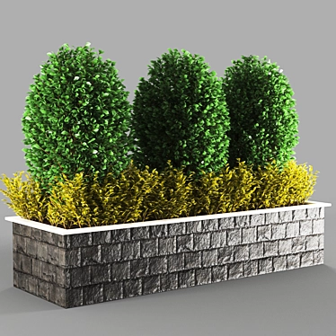 800k Poly Unique Plant 3D model image 1 