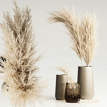 Dried Pampas in Elegant Vases 3D model image 1 