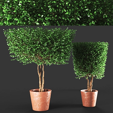  Tall and Elegant Plant Sculptures 3D model image 1 