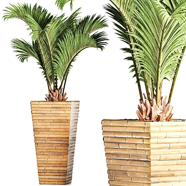 Tropical Oasis: Palm Collection 3D model image 1 