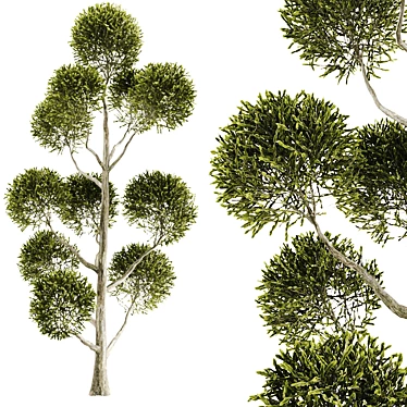 High-Quality Tree Model for 3ds Max & FBX 3D model image 1 