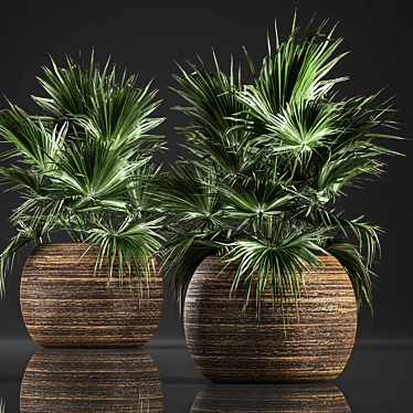 Exotic Palm Collection in Rattan Basket 3D model image 1 