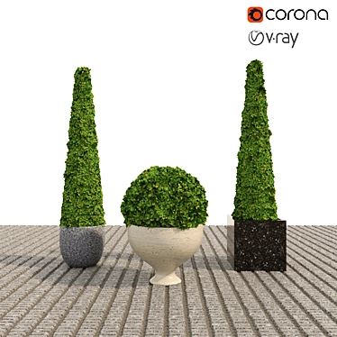  Elegant Boxwood Set: Perfect for 3D Rendering 3D model image 1 