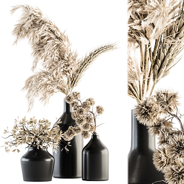 Nature's Essence - Dried Plant Set 3D model image 1 