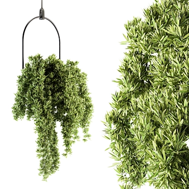 Lush Greenery Hanging Plant Set 3D model image 1 