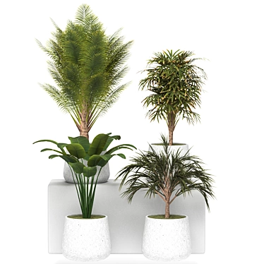Indoor Jungle: Houseplant Collection 3D model image 1 