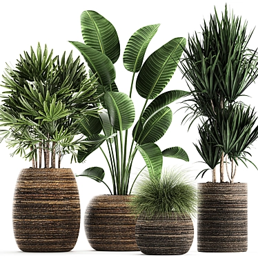 Exotic Plant Collection in Rattan Basket 3D model image 1 