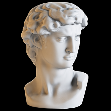 Detailed Polyresin David Bust 3D model image 1 