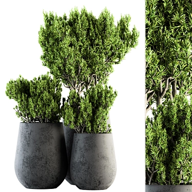 Greenery Oasis: Indoor Plant Set 3D model image 1 